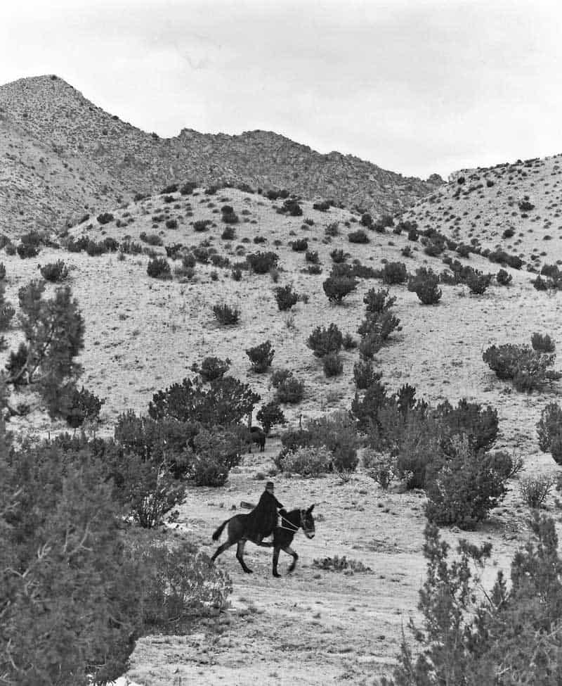 Harold Joe Waldrum riding Moon the mule at his ranch on Ladron Mountain