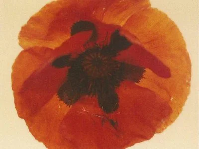 Poppy, an SX-70 polaroid by Harold Joe Waldrum